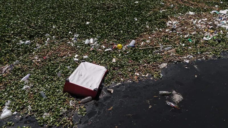 En el abandono, humedal de Cuautepec en GAM